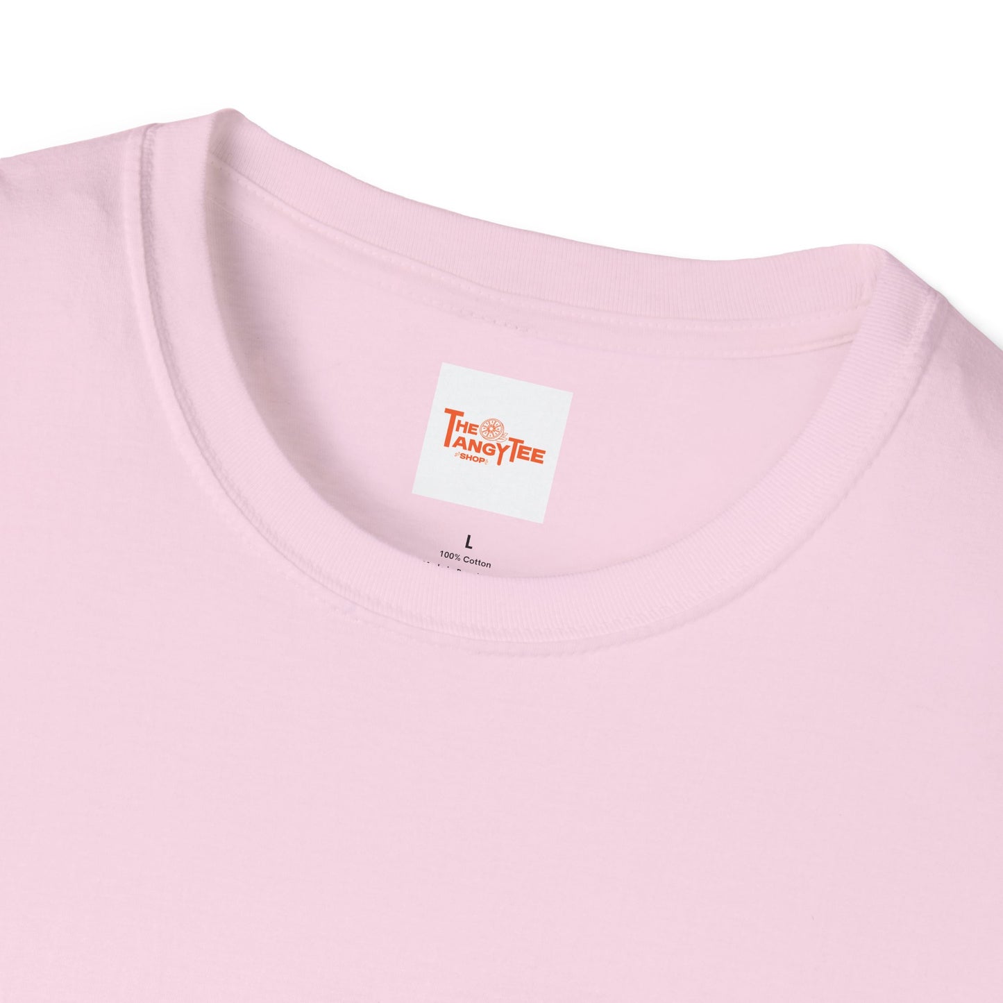 Angelic Rainbow Wings T-Shirt