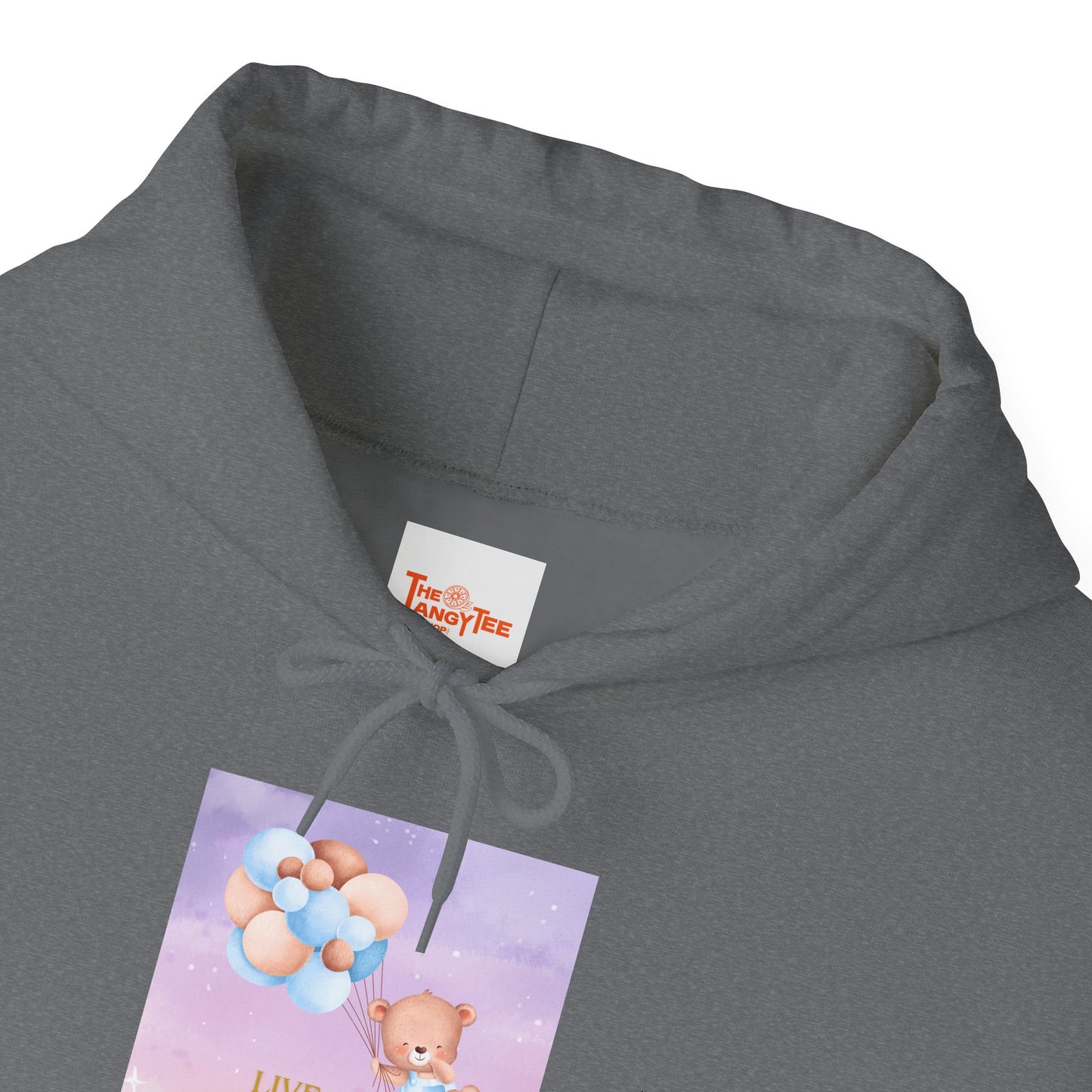 Teddy Bear Dreams Hoodie - Live Your Dreams Graphic