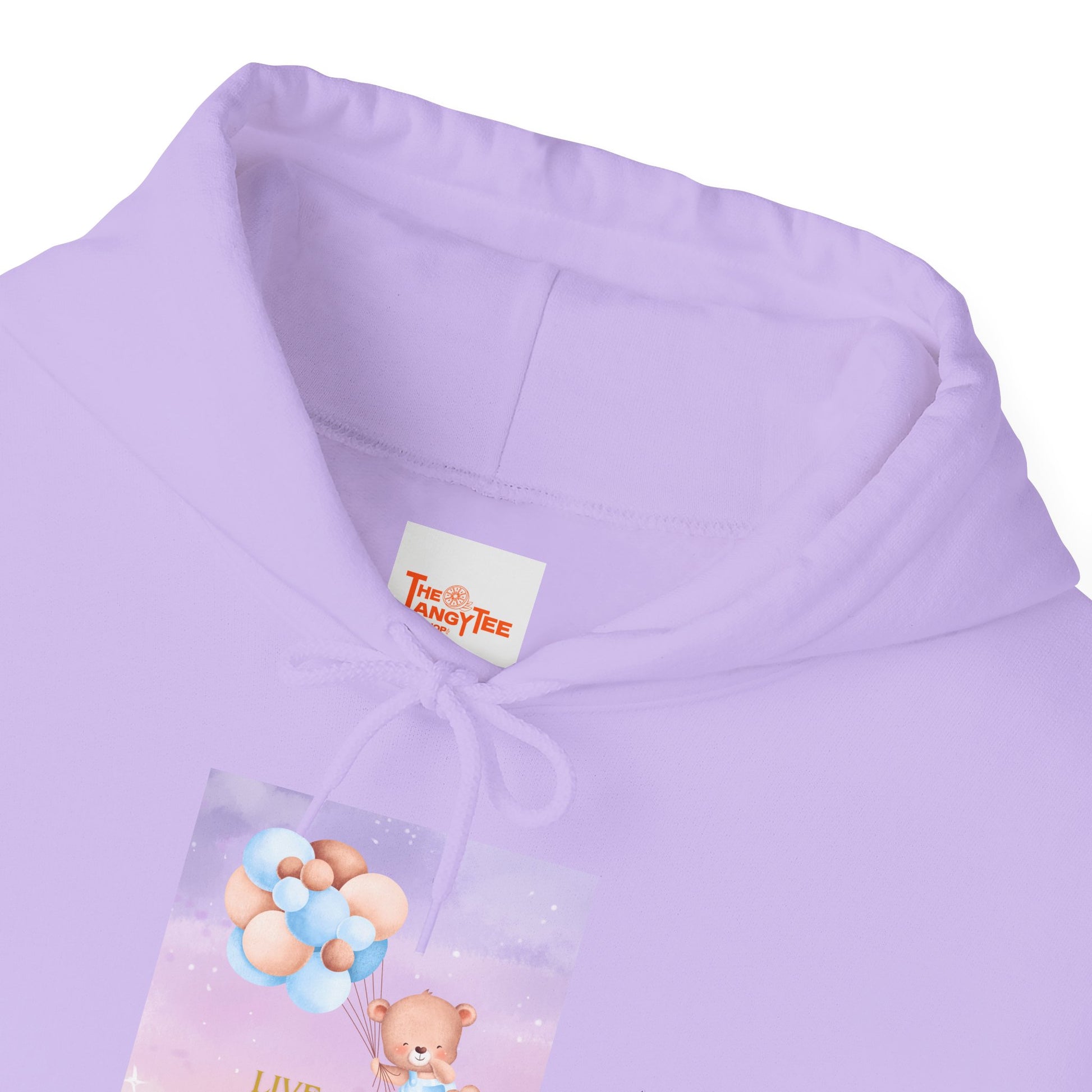 Teddy Bear Dreams Hoodie - Live Your Dreams Graphic