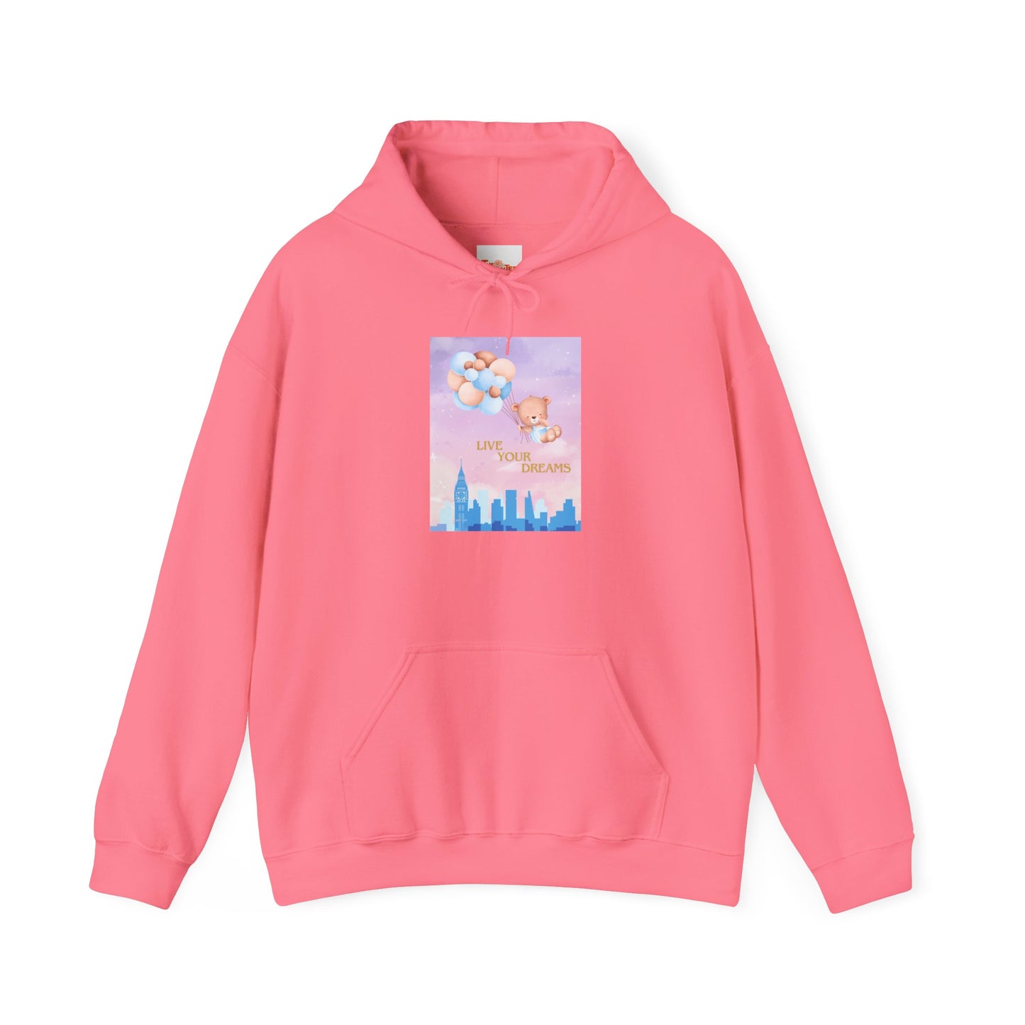 Teddy Bear Dreams Hoodie - Live Your Dreams Graphic