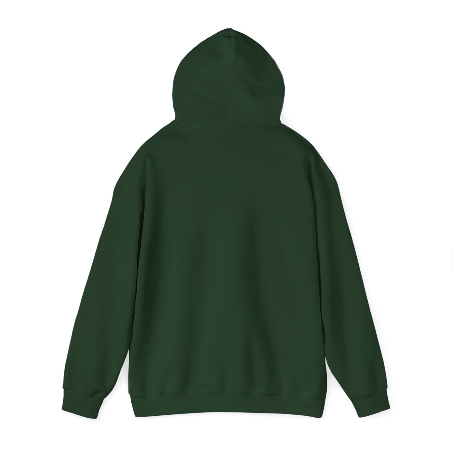 Winter Chill Hoodie Sweatshirt