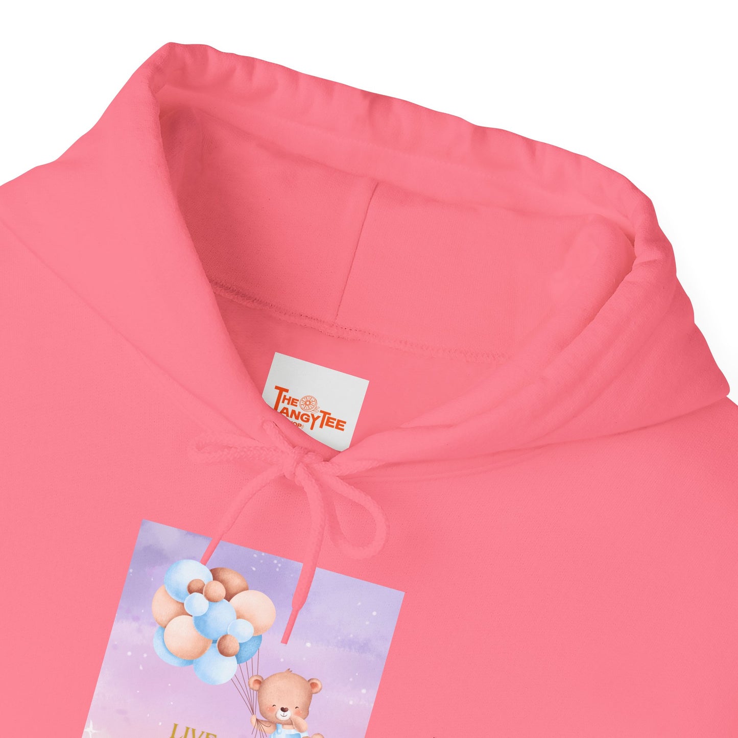 Teddy Bear Dreams Hoodie - Live Your Dreams Graphic