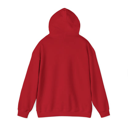 Teddy Bear Hoodie