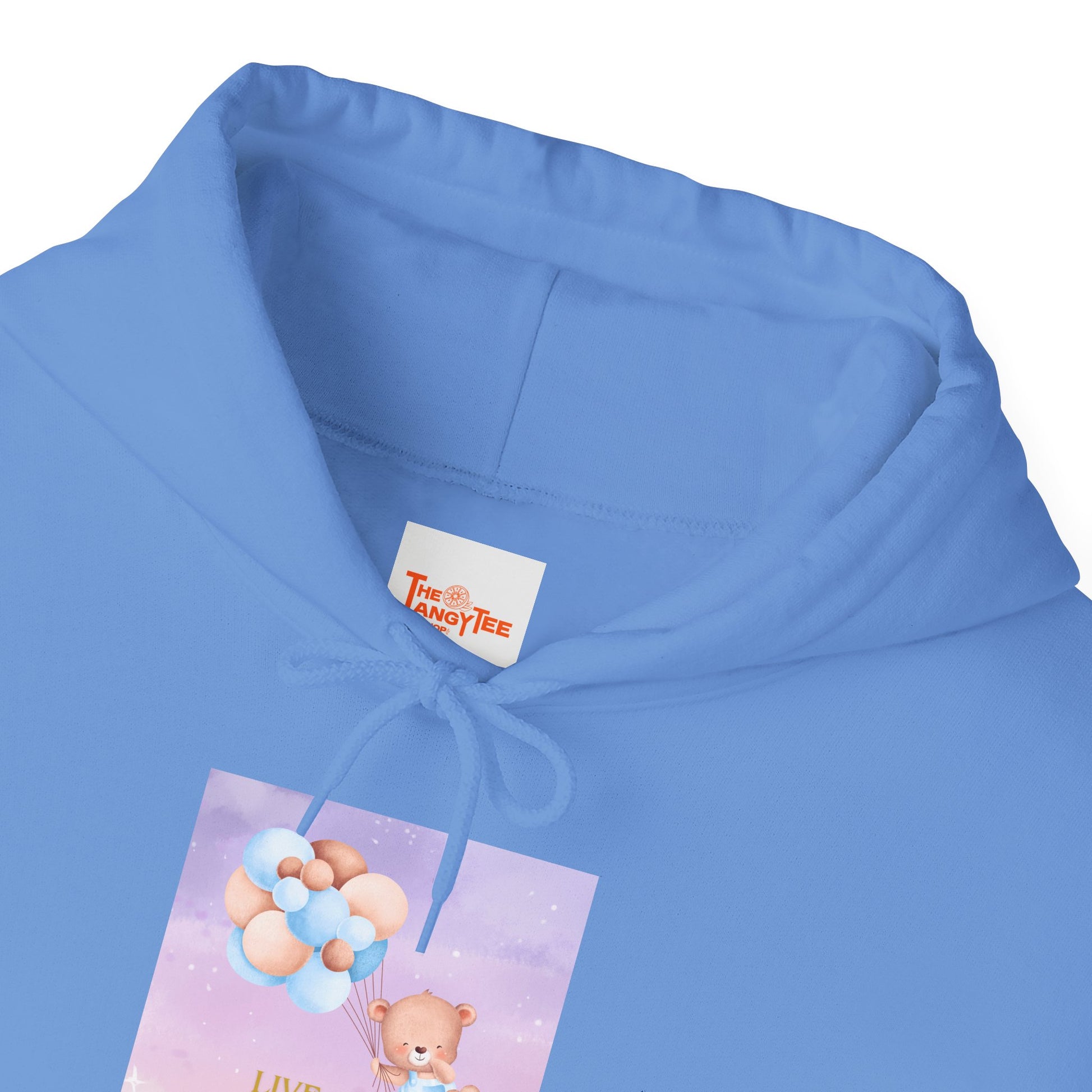 Teddy Bear Dreams Hoodie - Live Your Dreams Graphic