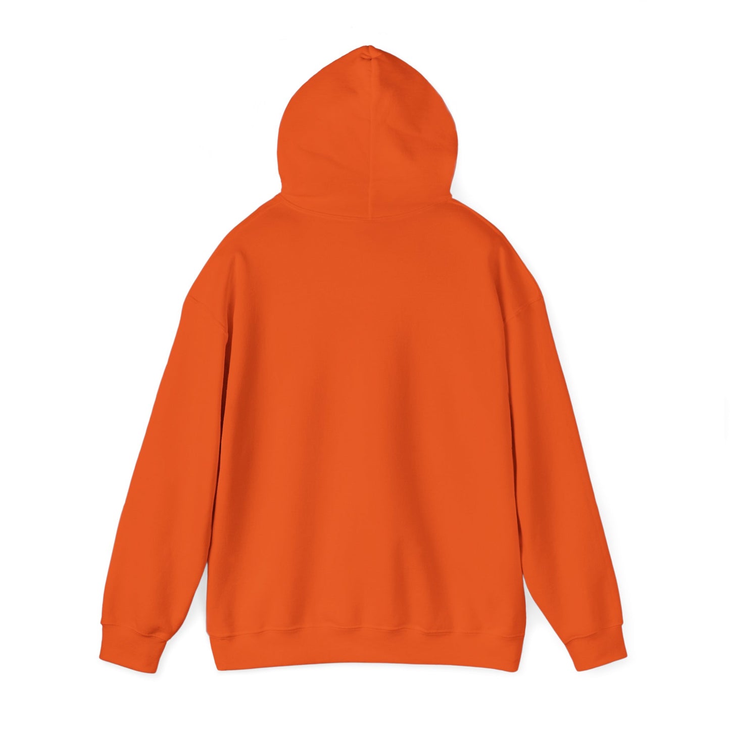 Teddy Bear Hoodie