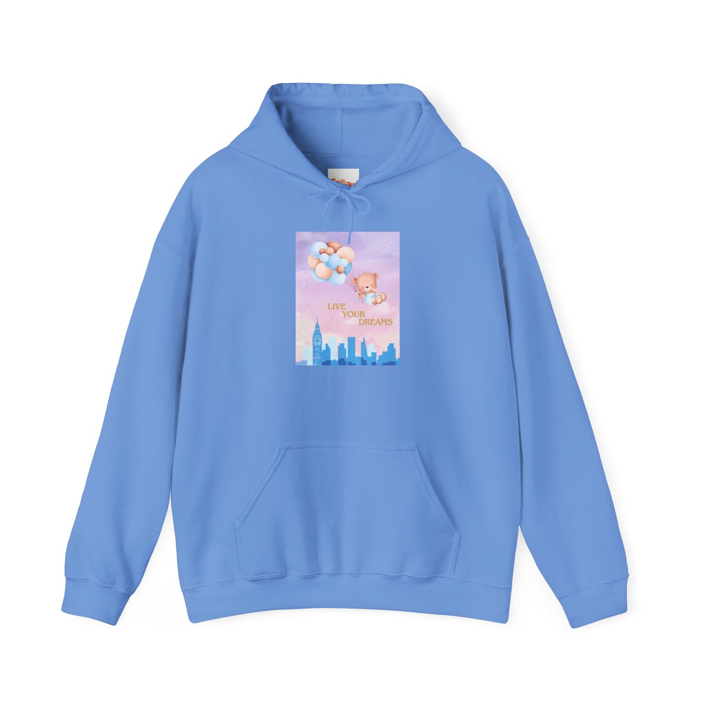 Teddy Bear Dreams Hoodie - Live Your Dreams Graphic