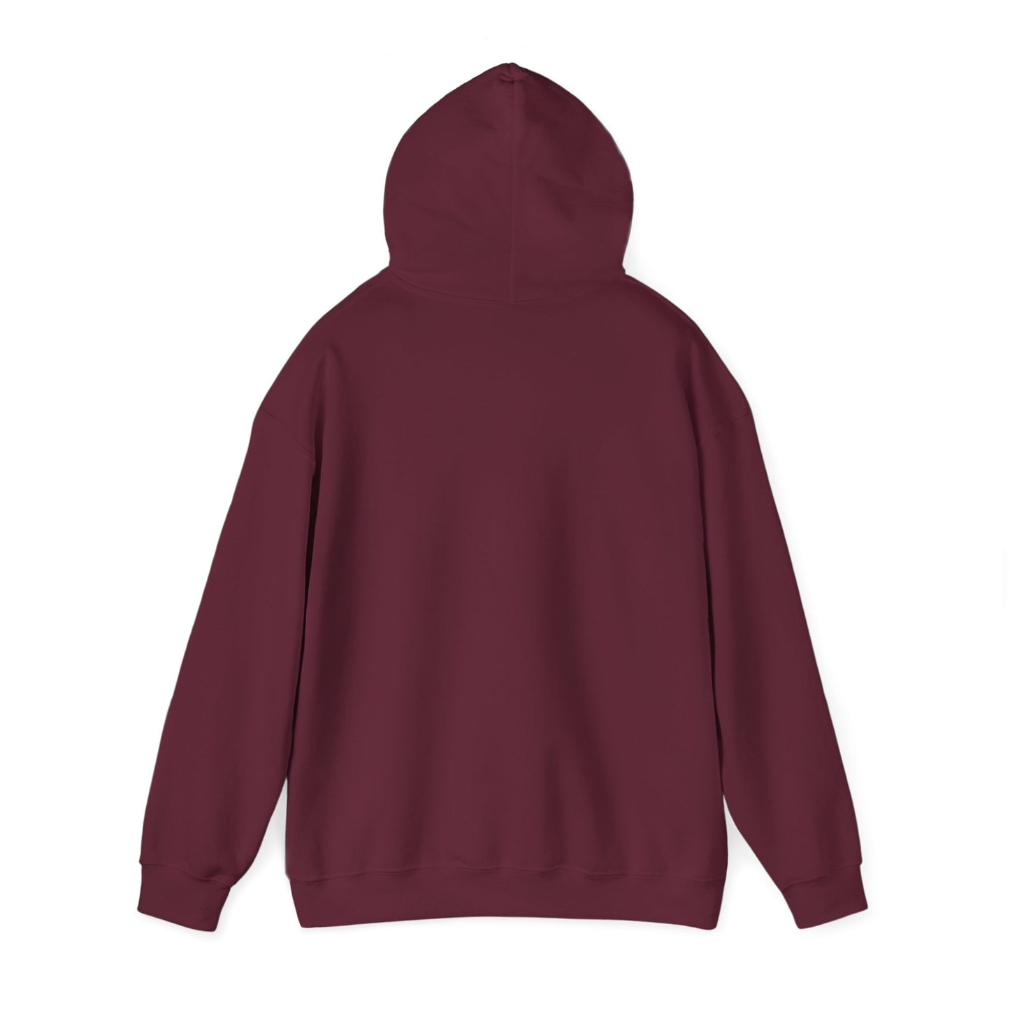Teddy Bear Dreams Hoodie - Live Your Dreams Graphic