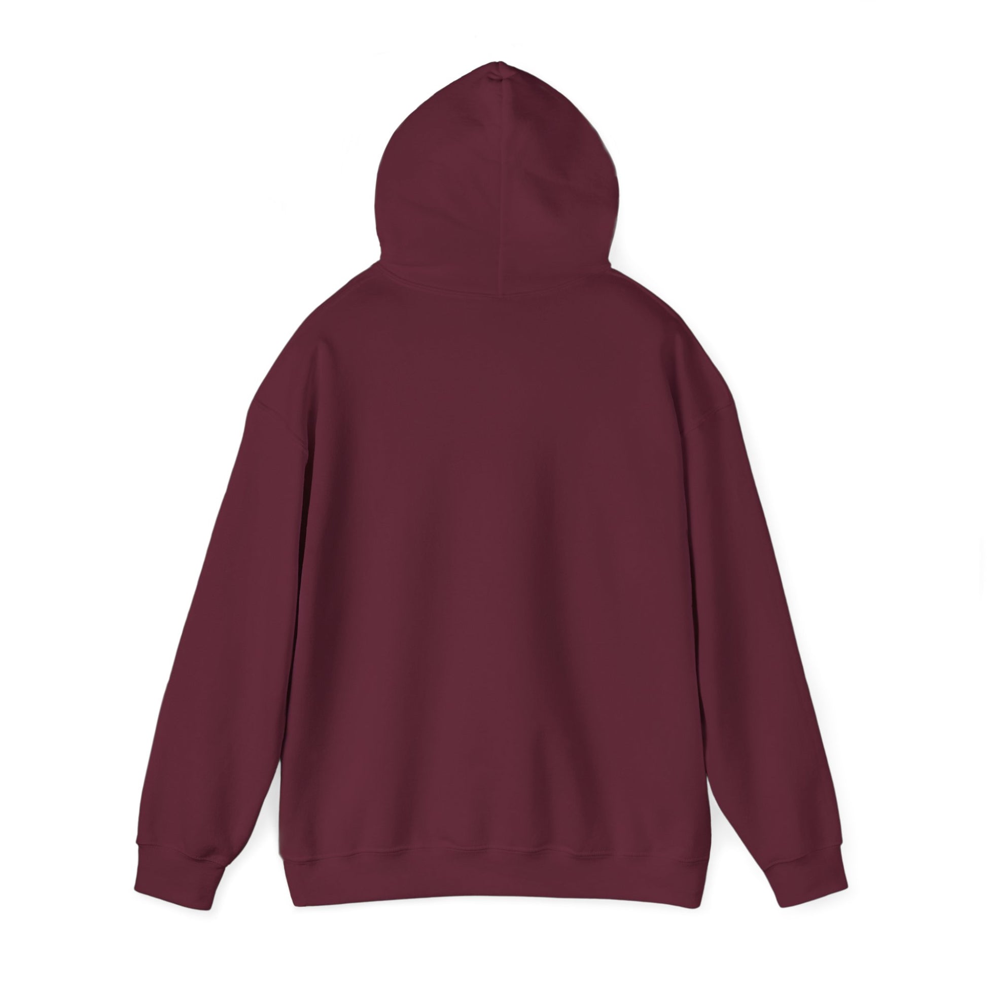 Teddy Bear Dreams Hoodie - Live Your Dreams Graphic