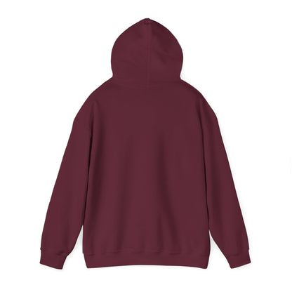 Teddy Bear Dreams Hoodie - Live Your Dreams Graphic