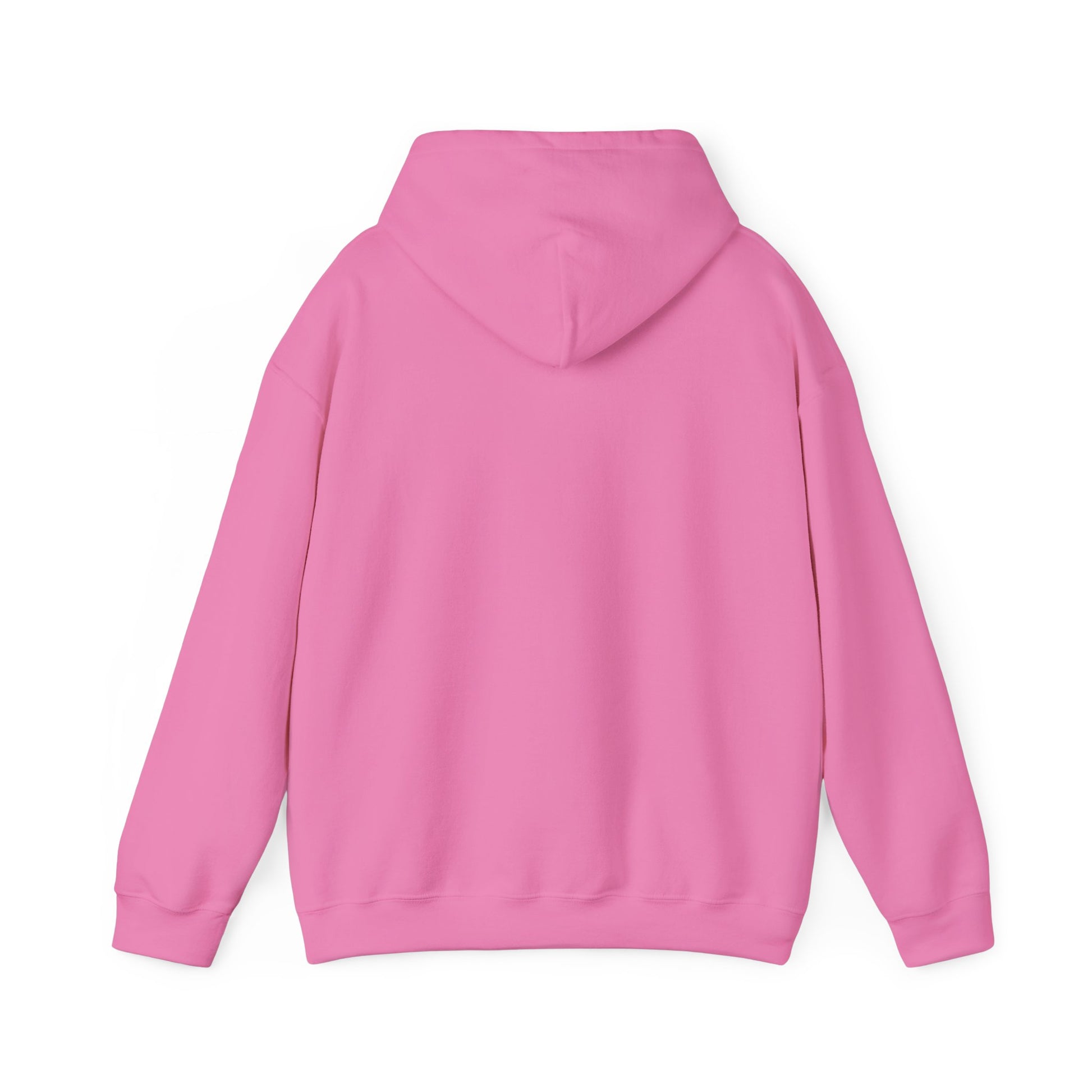 Christmas Hoodie - Girl Decorating Tree