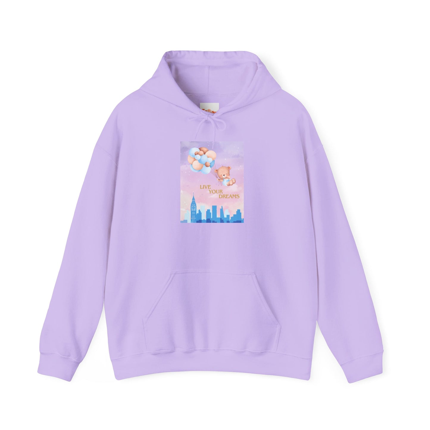 Teddy Bear Dreams Hoodie - Live Your Dreams Graphic