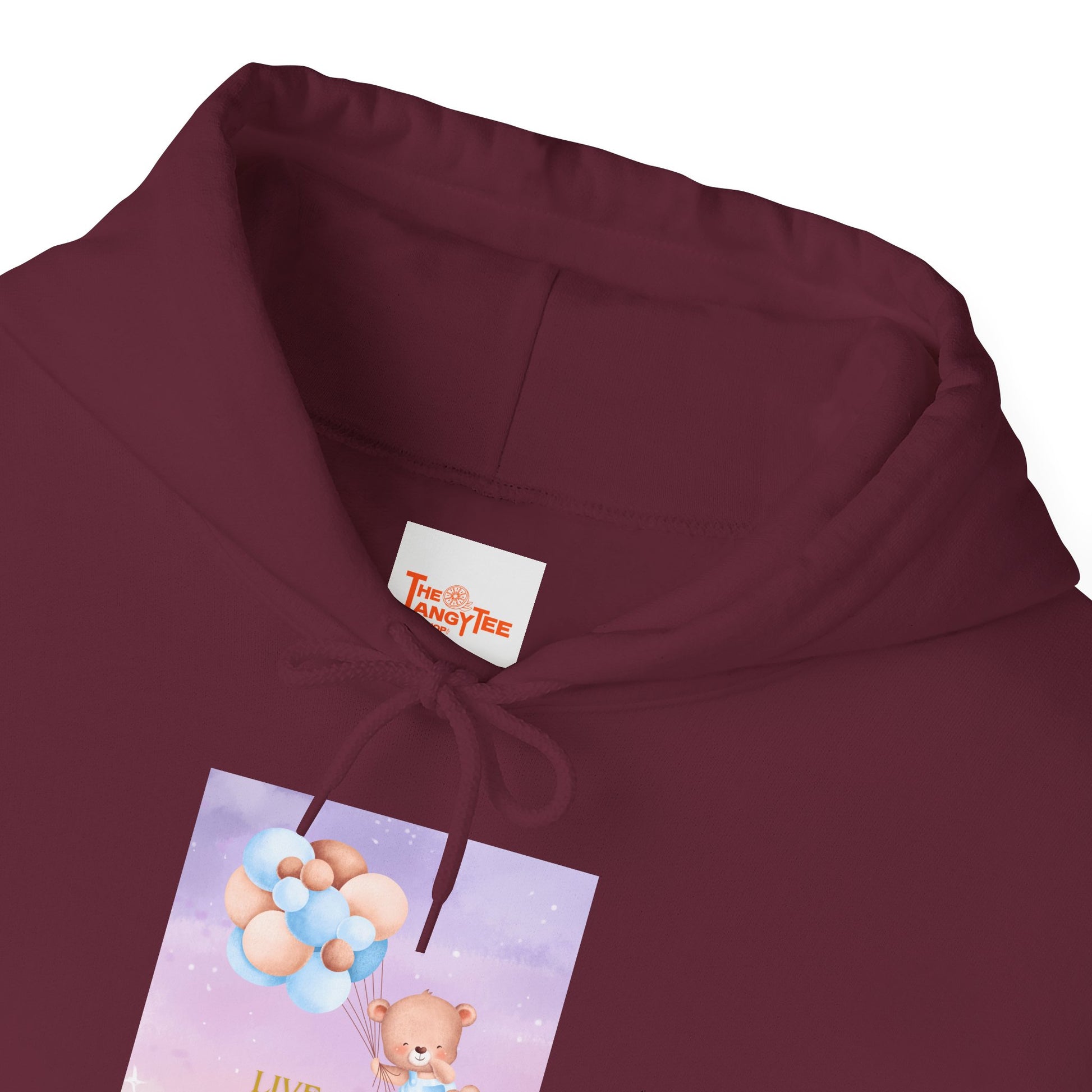 Teddy Bear Dreams Hoodie - Live Your Dreams Graphic