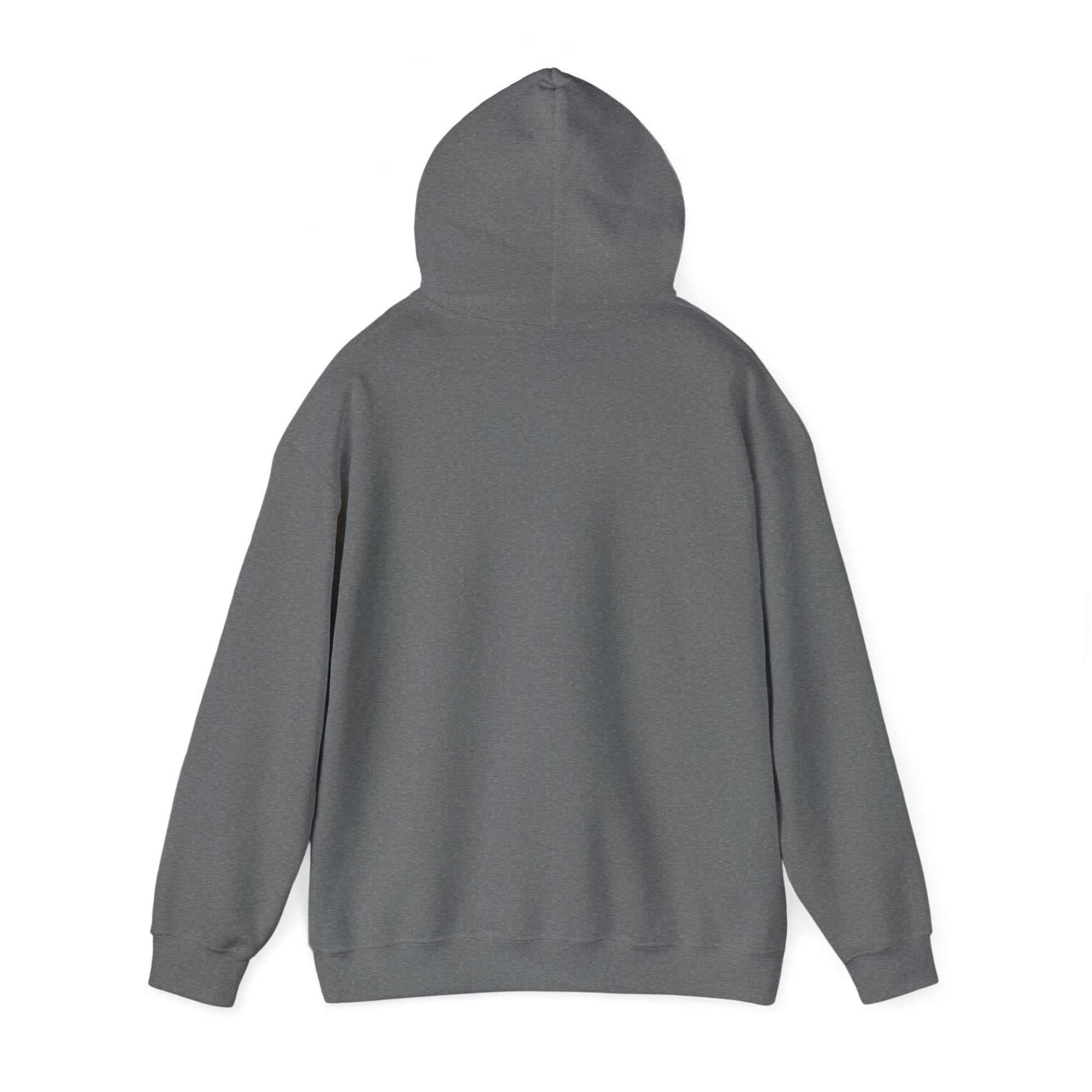 Winter Chill Hoodie Sweatshirt