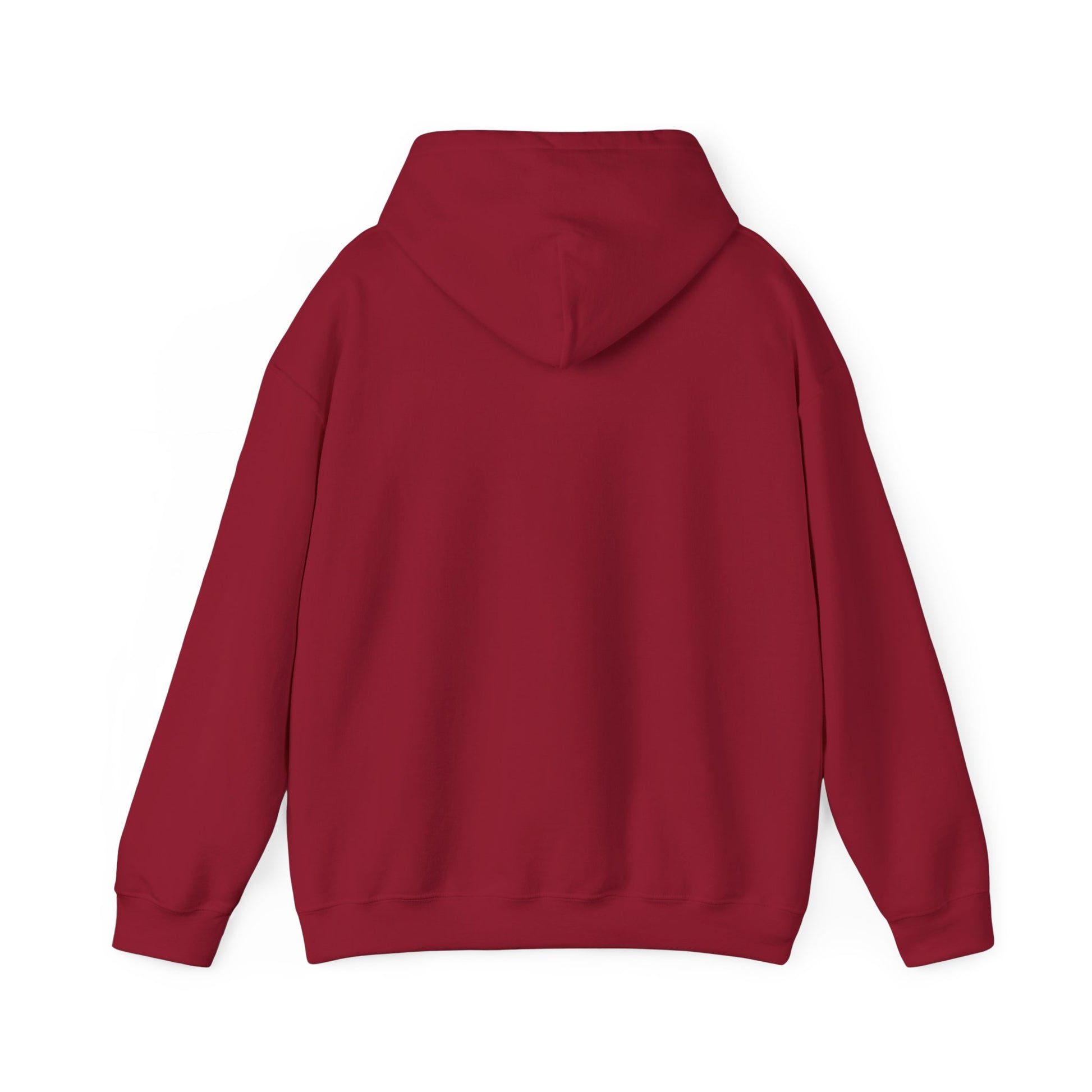 Christmas Hoodie - Girl Decorating Tree