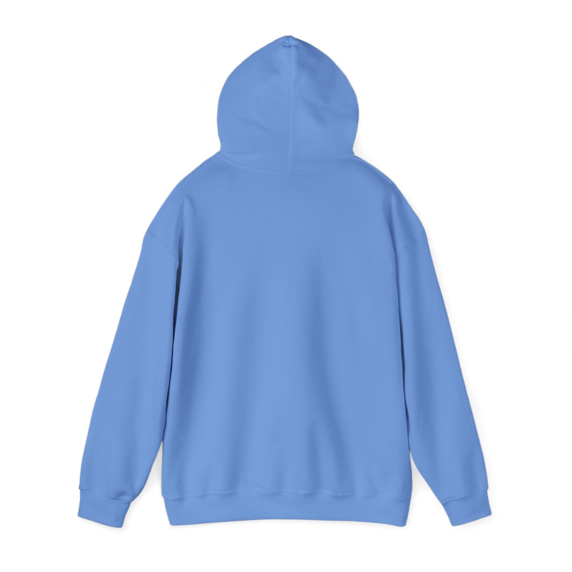 Teddy Bear Dreams Hoodie - Live Your Dreams Graphic