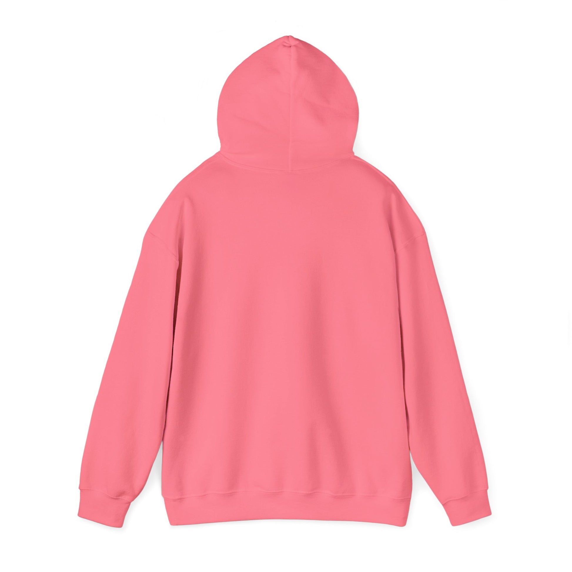 Hooded Sweatshirt Winter Wonderland Penguin