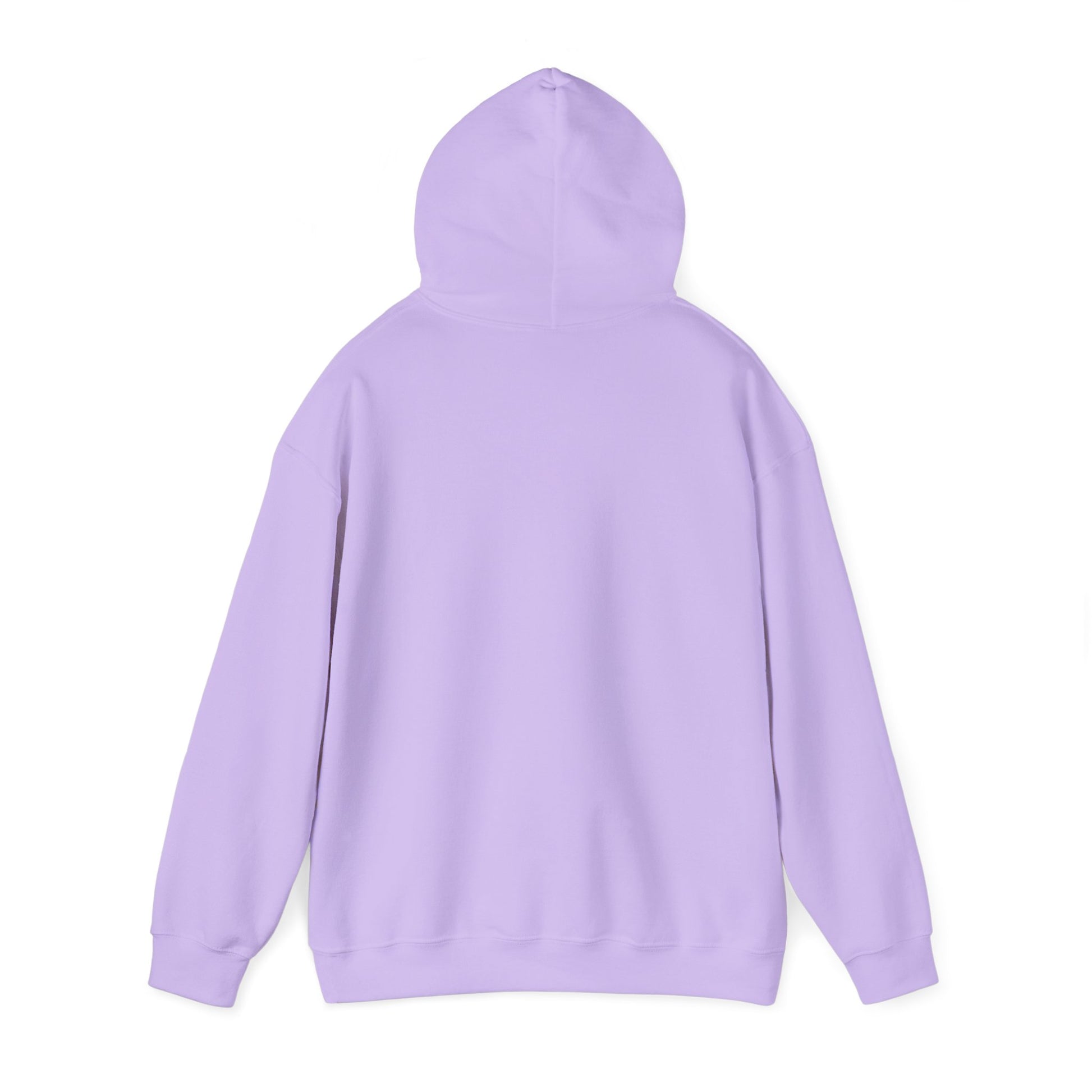 Teddy Bear on Skates Hoodie