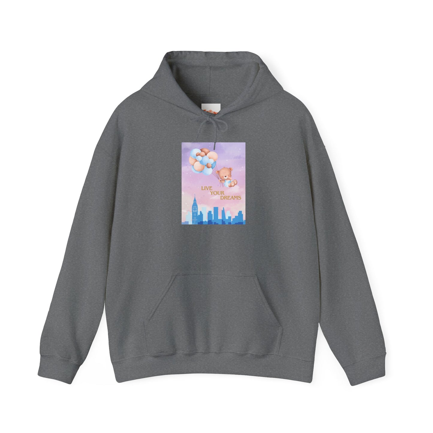 Teddy Bear Dreams Hoodie - Live Your Dreams Graphic