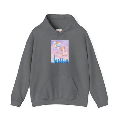 Teddy Bear Dreams Hoodie - Live Your Dreams Graphic
