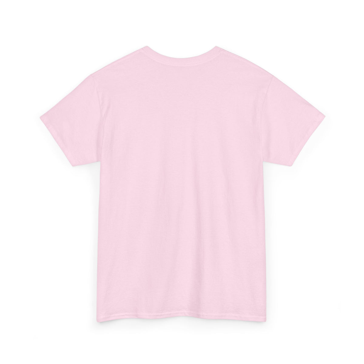 Graphic Tee — "I Don't Get Paid Enough to Care" Statement T-Shirt