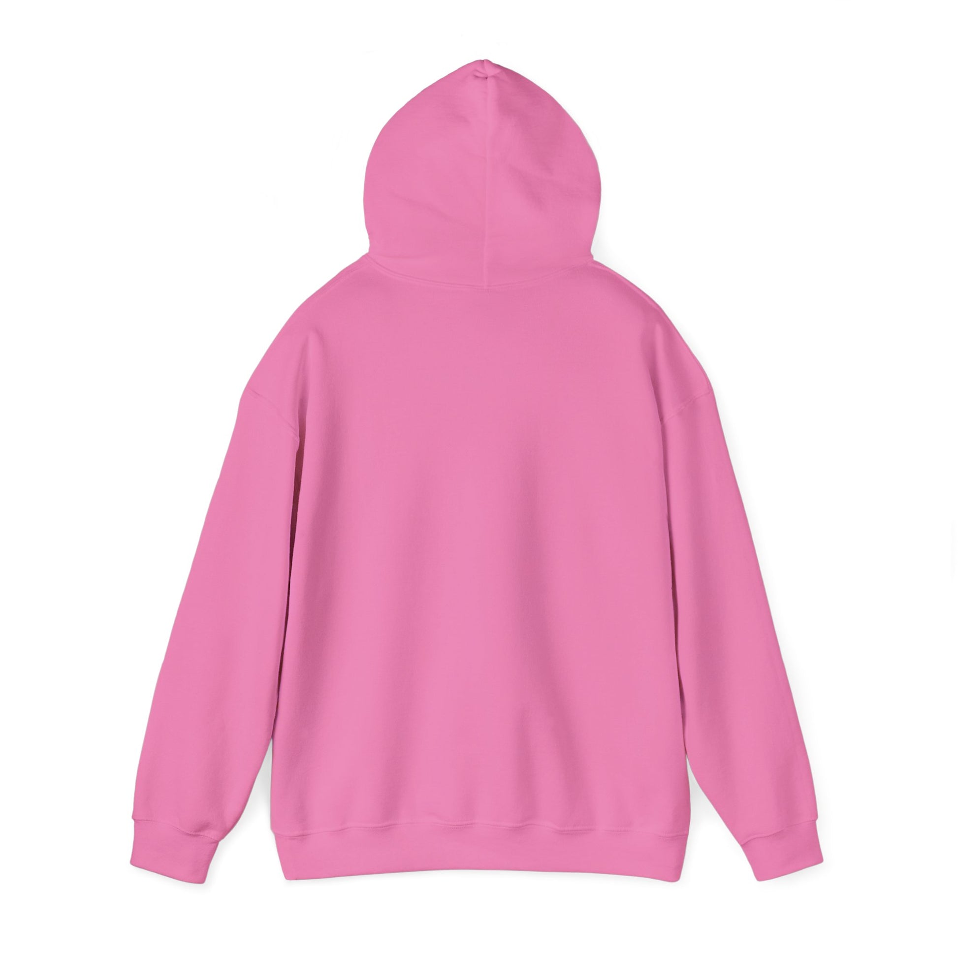 Teddy Bear on Skates Hoodie