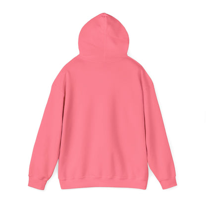 Teddy Bear Dreams Hoodie - Live Your Dreams Graphic